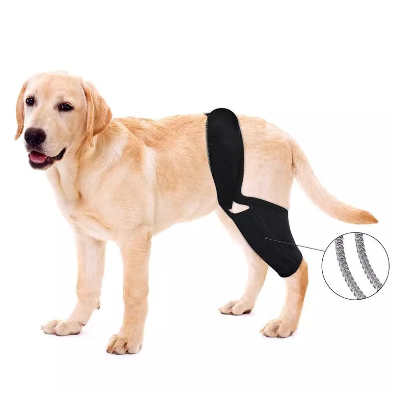 Verstellbare Hunde-Kniebandage – Car Accessories For Elderly Bewertung und Preis