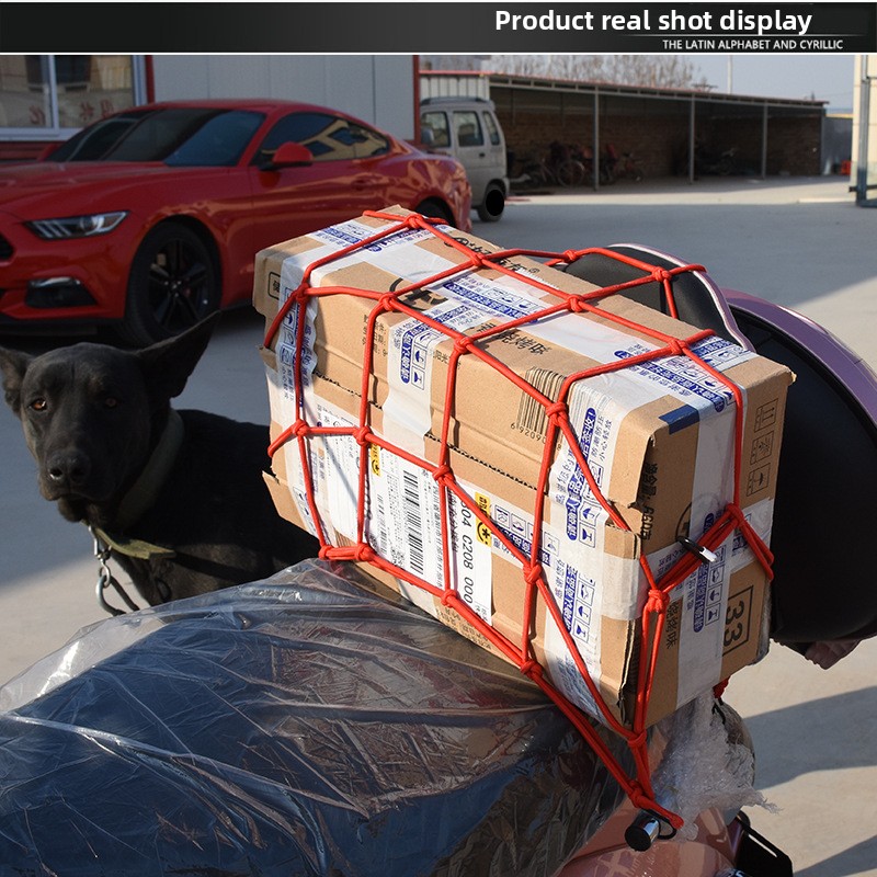 Robustes Gepäcknetz – elastisc – Car Cargo Net Trunk Bewertung und Preis